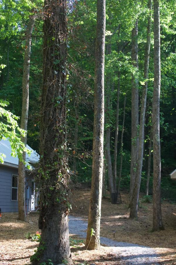 Villas at Gingershack Farms Ellijay Eksteriør billede