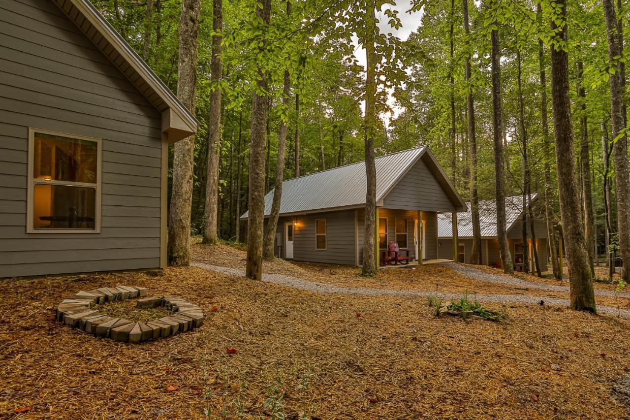 Villas at Gingershack Farms Ellijay Eksteriør billede